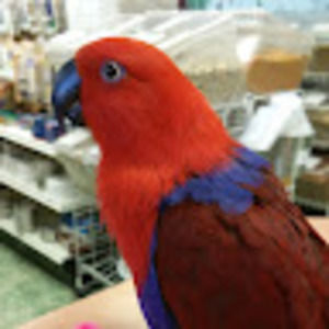 Meet your Posher, Kiersten